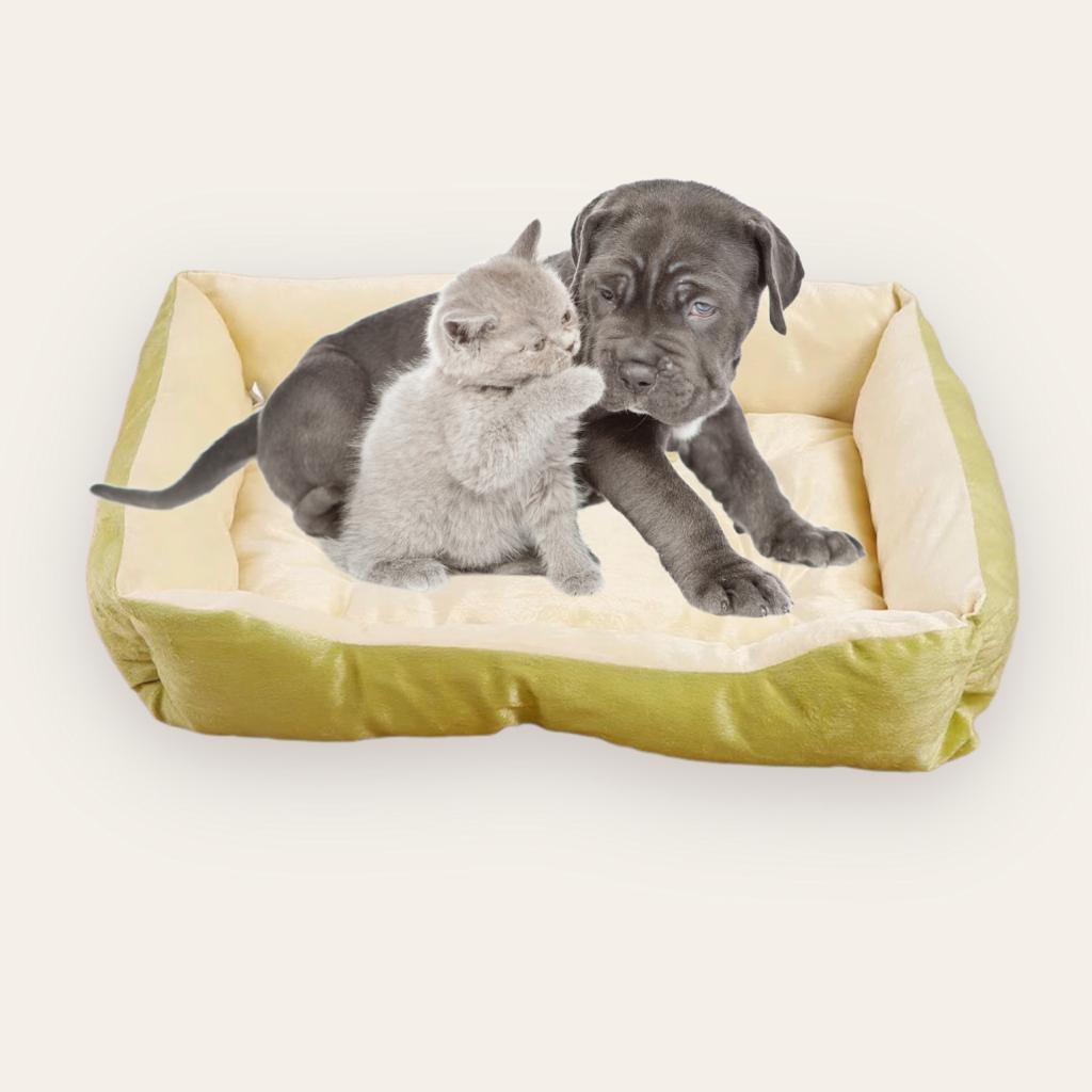 Cama Verde Limón Huesito Para Perro O Gato