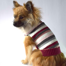 Cargar imagen en el visor de la galería, Saco Sweater para Perro o Gato Tejido Rayas
