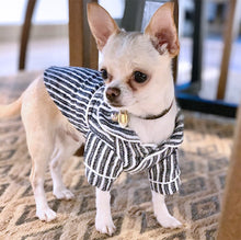 Cargar imagen en el visor de la galería, Camisa para Perro o Gatito Rayas
