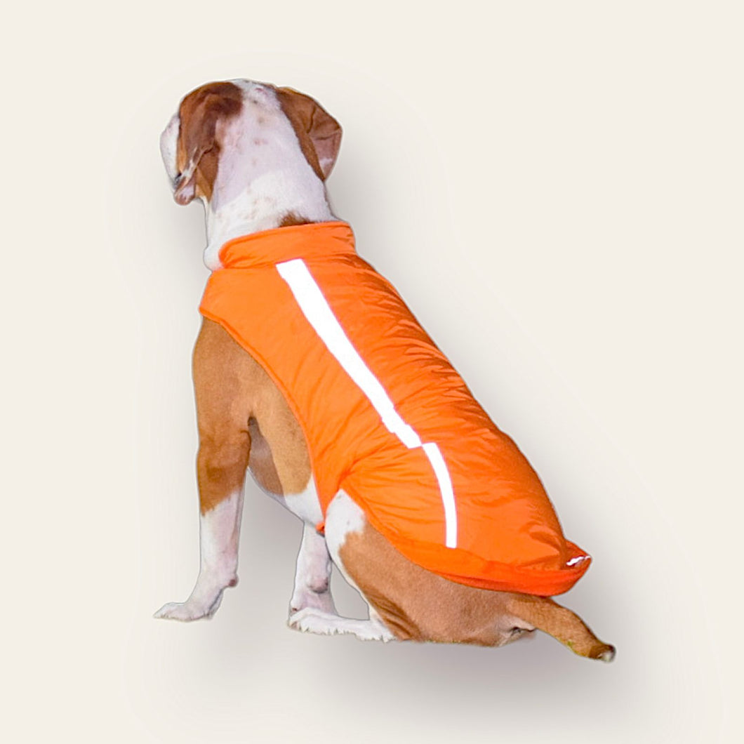 Chaleco Impermeable Reflectivo para Perro Naranja con Lineas Gris