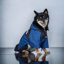 Cargar imagen en el visor de la galería, Abrigo chaqueta BlueJean para Perro o Gato con Capota
